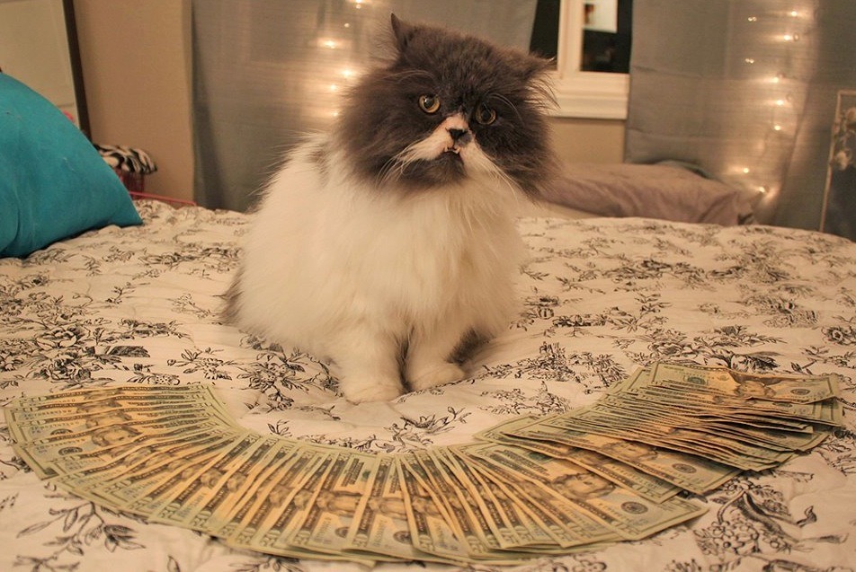 tumblr_m1zgajOSiu1qgn992o1_1280.jpg
