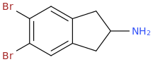 5,6-dibromo-2-aminoindan.png