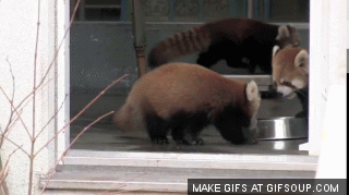 vxKOi.gif