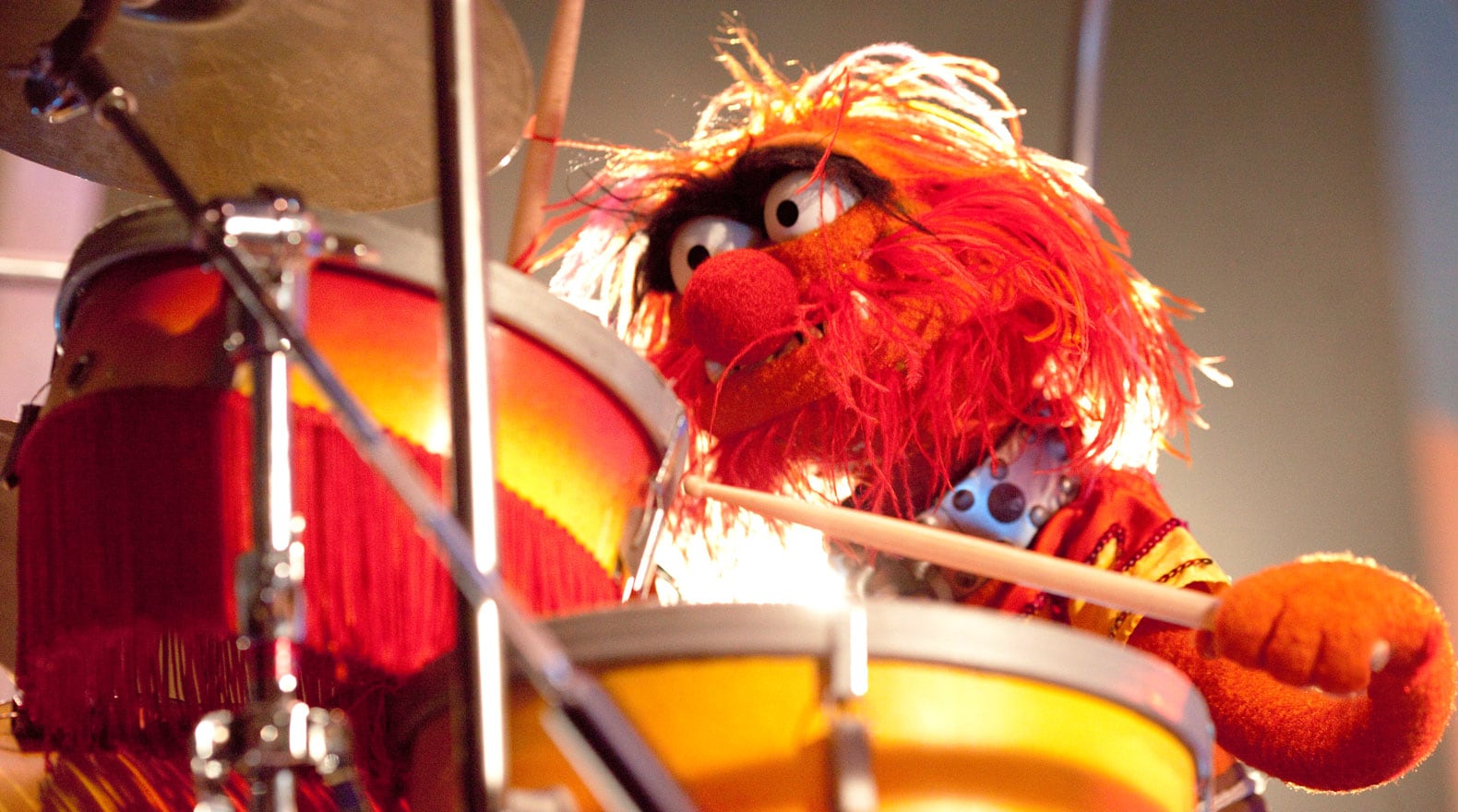 Animal_drums_2011.jpg