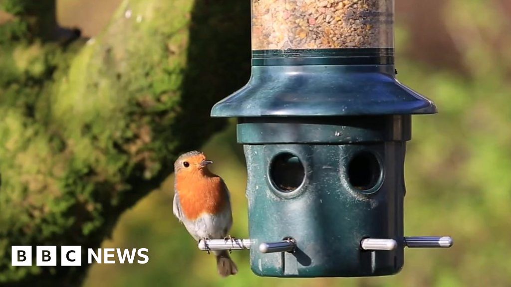 www.bbc.co.uk