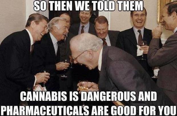 So+then+we+told+them+cannabis+is+dangerous+and+pharmaceuticals+are+good+for+you.jpg