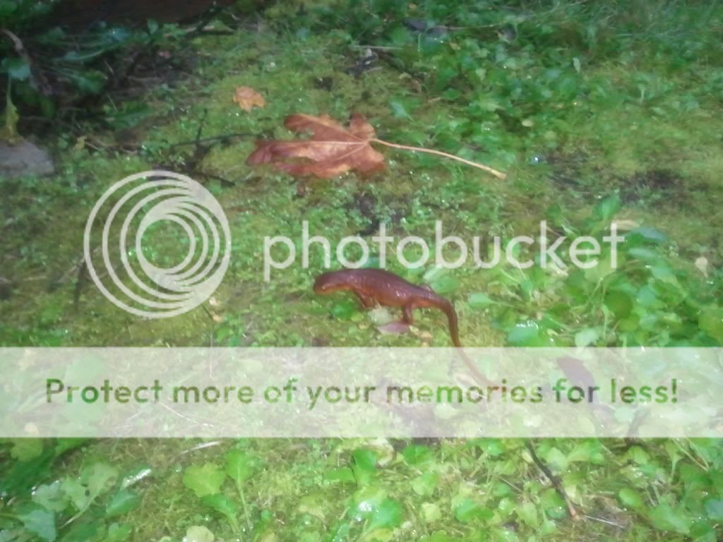 2011-11-14073647.jpg