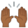 emoji-u1f64c-1f3fe.png