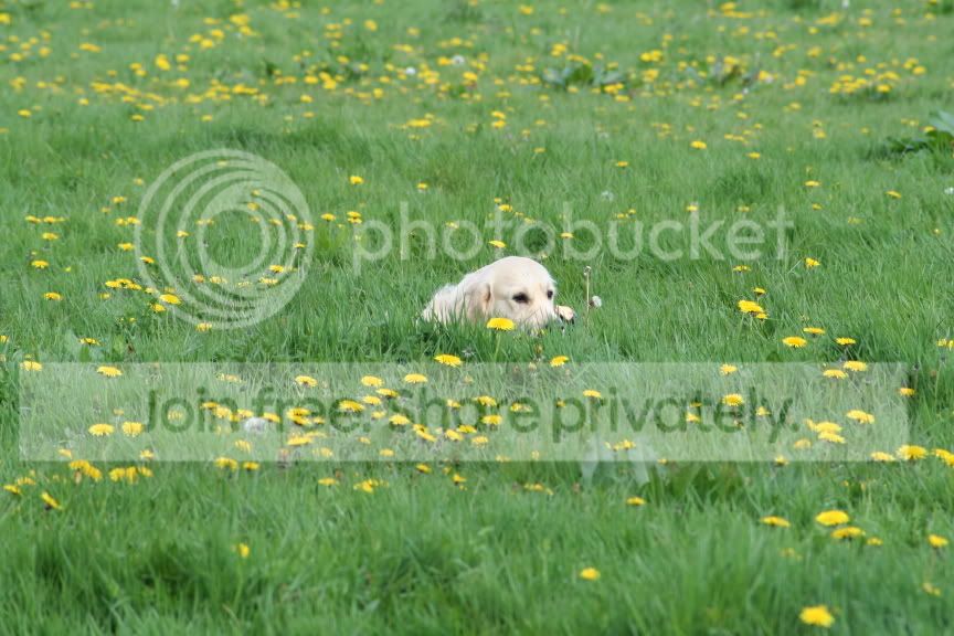 IMG_1294.jpg