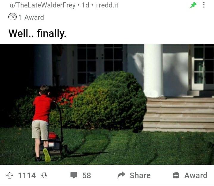 gWOJW58.jpg