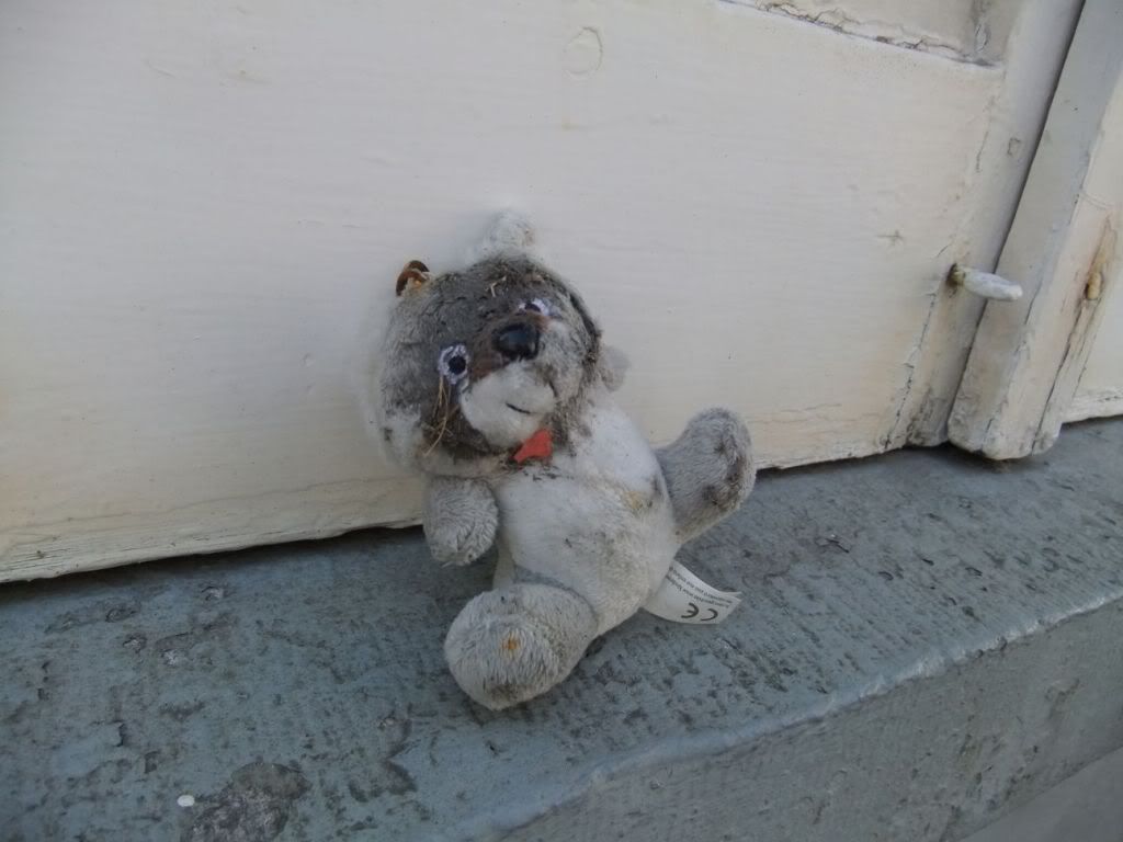ted.jpg