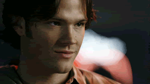 DSsc.gif