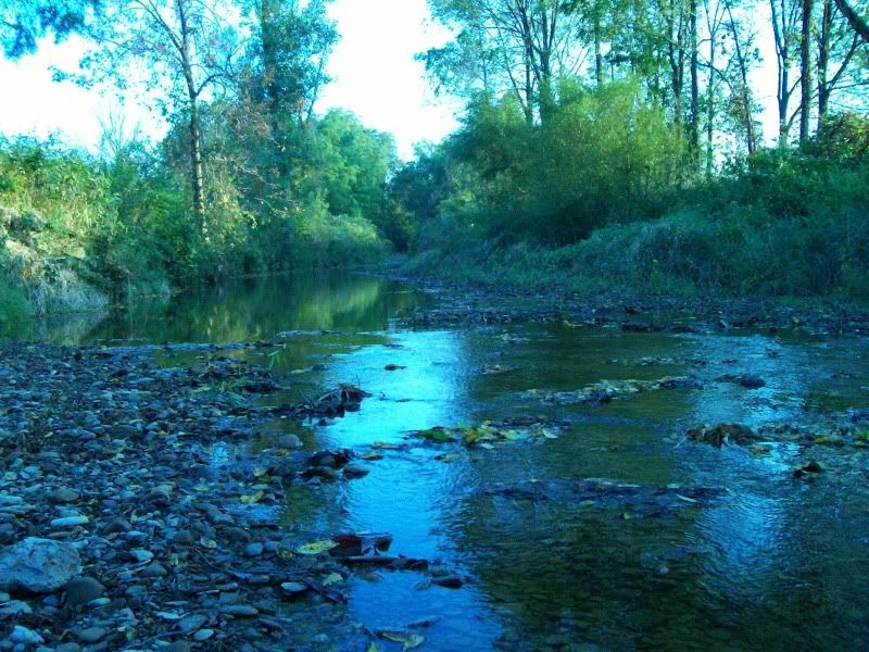 100_1848.jpg