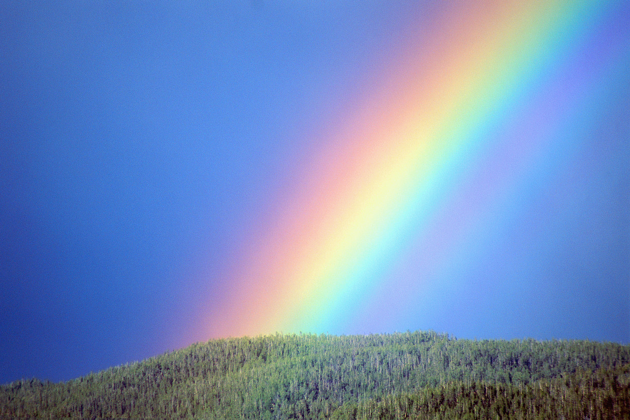 rainbow1.jpg
