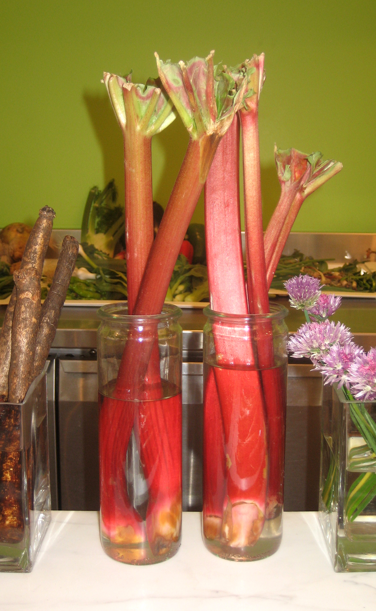 Rhubarb07.JPG