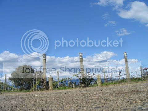 IMG_1057.jpg