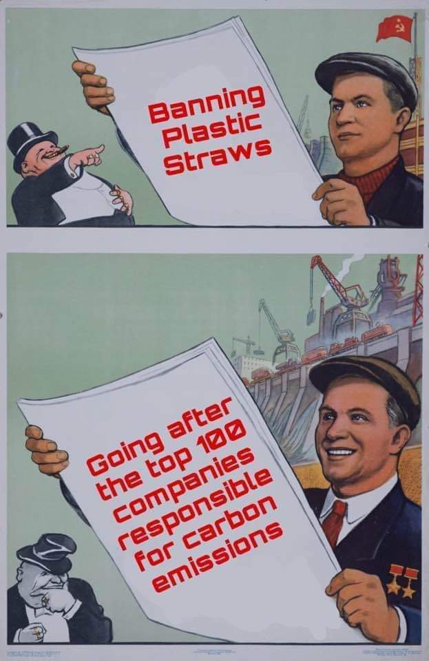 pwfstgd3yri31.jpg