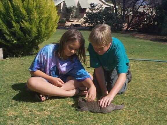 mongoose+as+pet.jpg