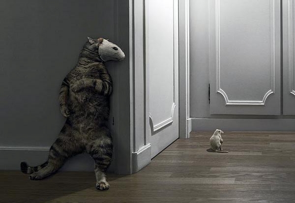 1914-clever-cat.jpg