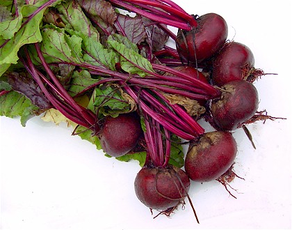 beetroot420.jpg
