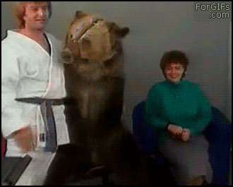 tumblr_lylgbs7BzZ1qdlh1io1_400.gif