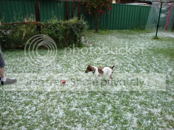 hailstorm015.jpg