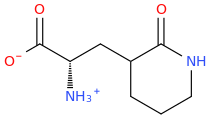 (2S)2-ammonio-3-(piperidinon-3-yl)propanoate.png