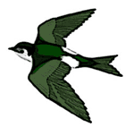 swal.gif