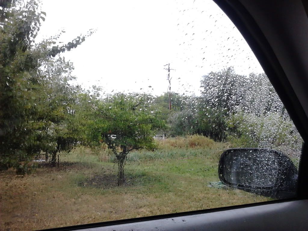 IMG_20110628_192821.jpg