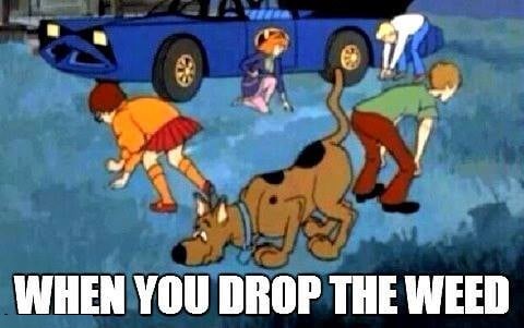 tqWny8Q.jpeg