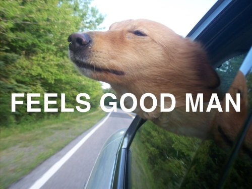 tumblr_lhraw6Bk8e1qhwy7zo1_500.jpg