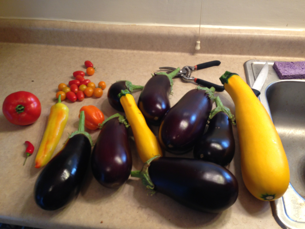 garden+07+21+14.png