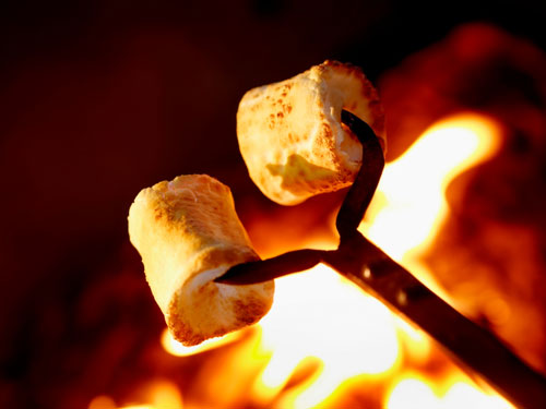marshmallow-roast.jpg