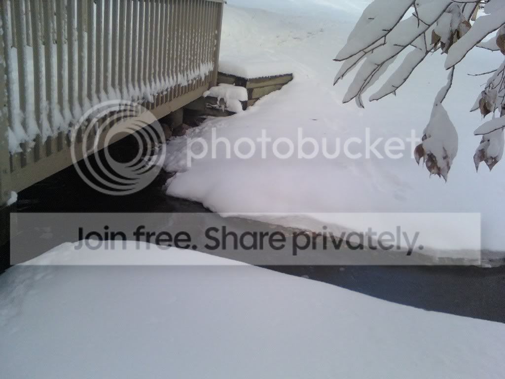 1102011347.jpg