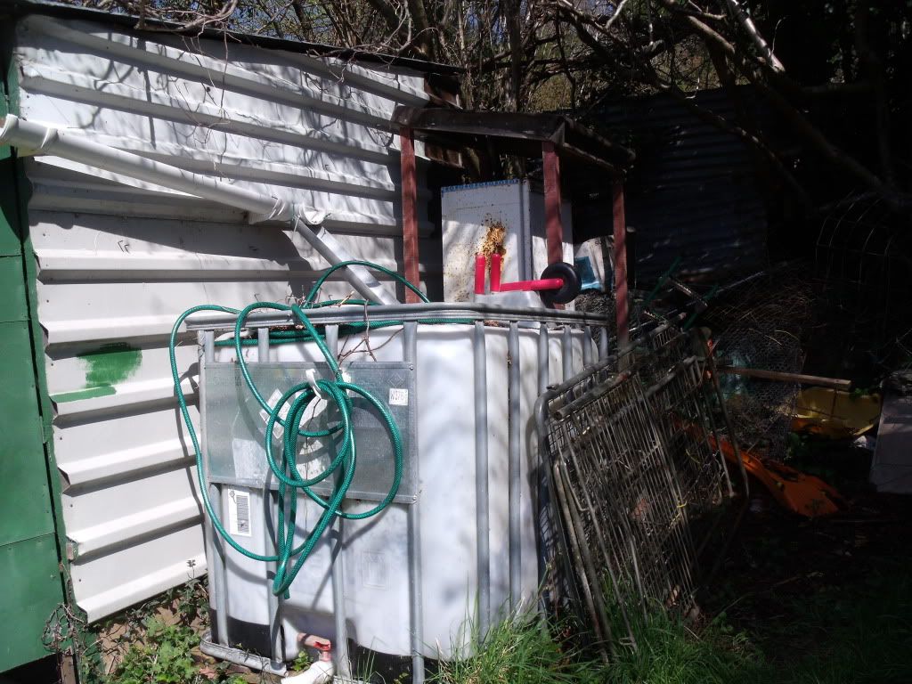 allotmentapril2012009.jpg