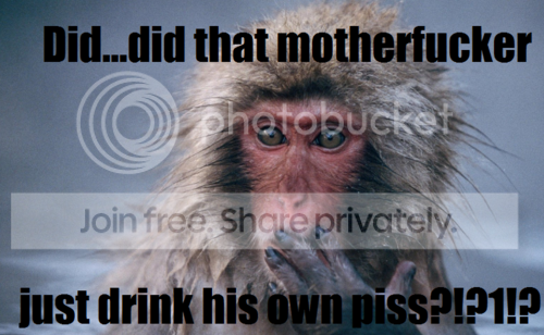 tumblr_libnhm4hrA1qeq0mdo1_500.png