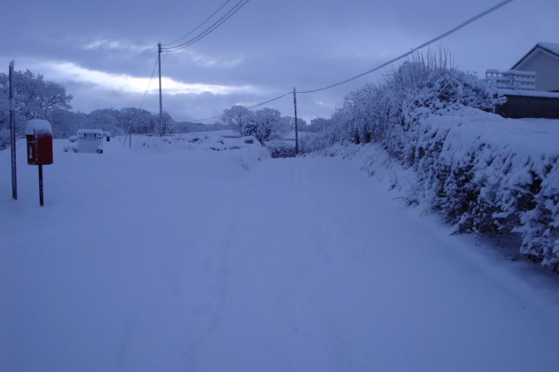 DSC02435.jpg