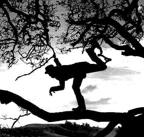 Tom_Waits_Tree.jpg
