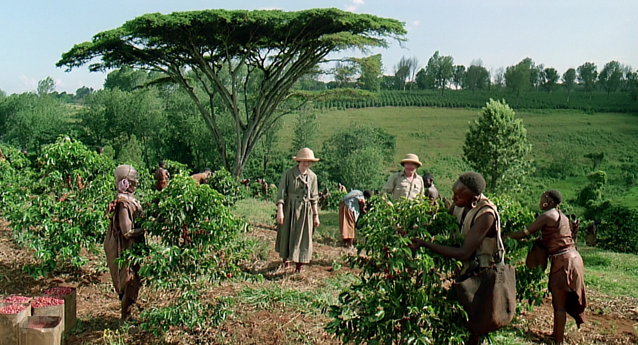 outofafrica1.png
