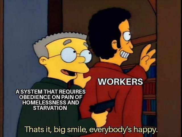 4wk0x1tlnqi41.jpg