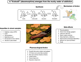 www.sciencedirect.com