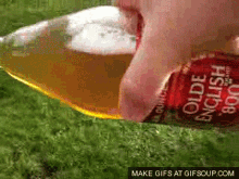 2cbi6Fo.gif