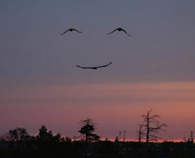 smile.jpg