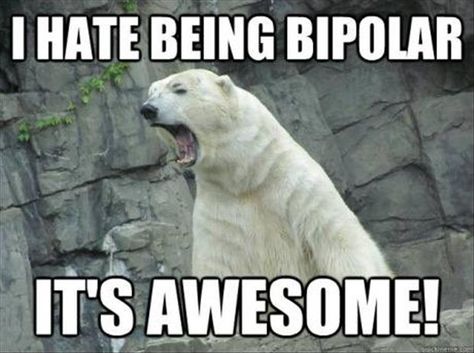 962329913ad63b6280d70fd88b40cc1d-polar-bears-mental-health.jpg