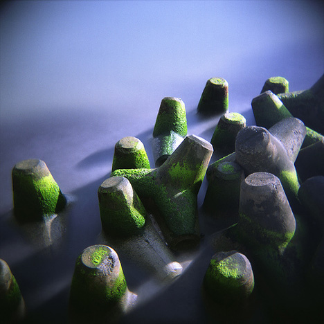 tetrapod_6.jpg