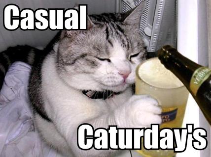 casual_caturday__s_by_lucian9-d2y1kxr.jpg