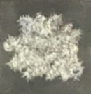 SLGM8Db.jpg