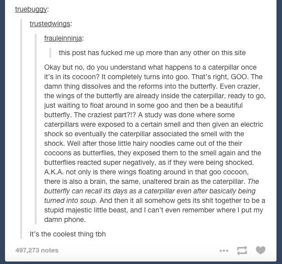 fe66b78e9e8fb5949e195e70bebd0452.png