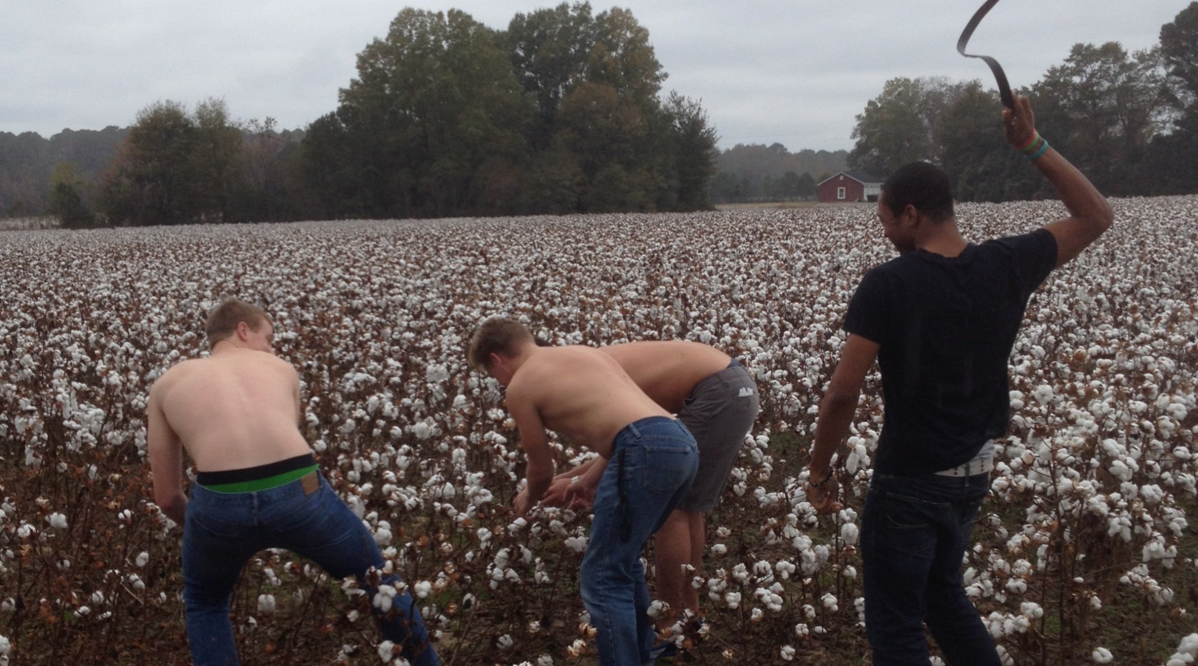 reverse-slavery-whites.jpg