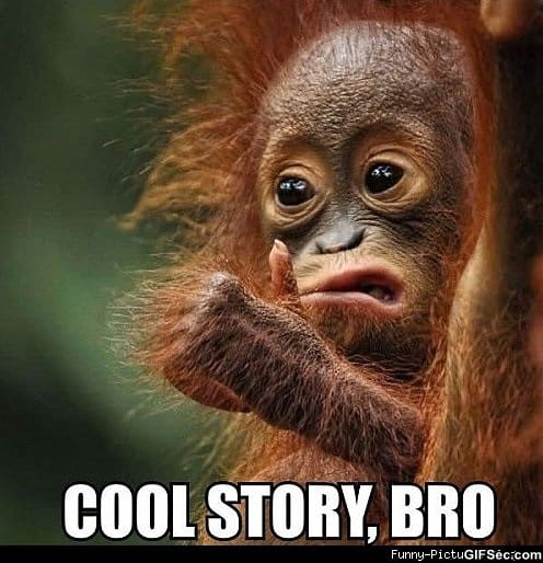 Cool_Story_Bro.jpg