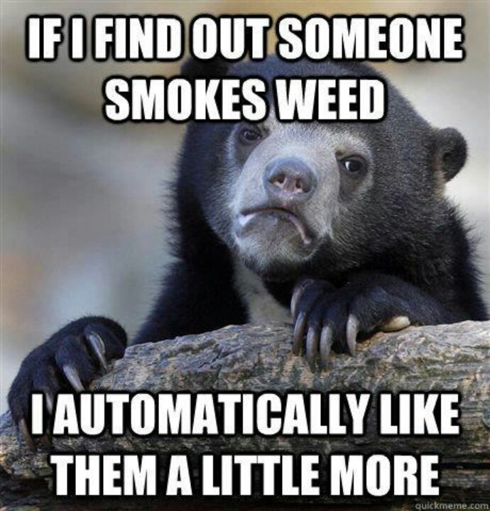 funny-confession-bear-weed-meme.jpg