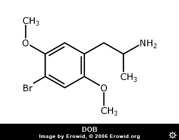 dob_2d.gif