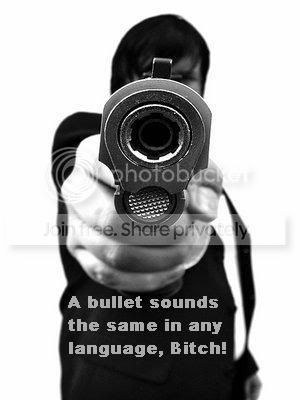 gun.jpg