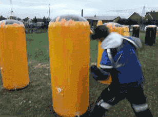 giphy.gif